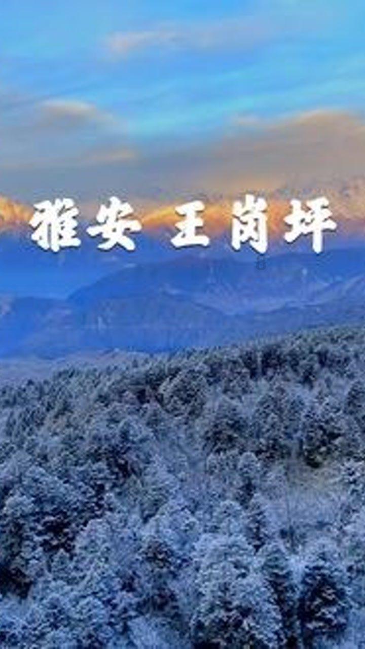 寒潮中，冰城交警温暖守护！