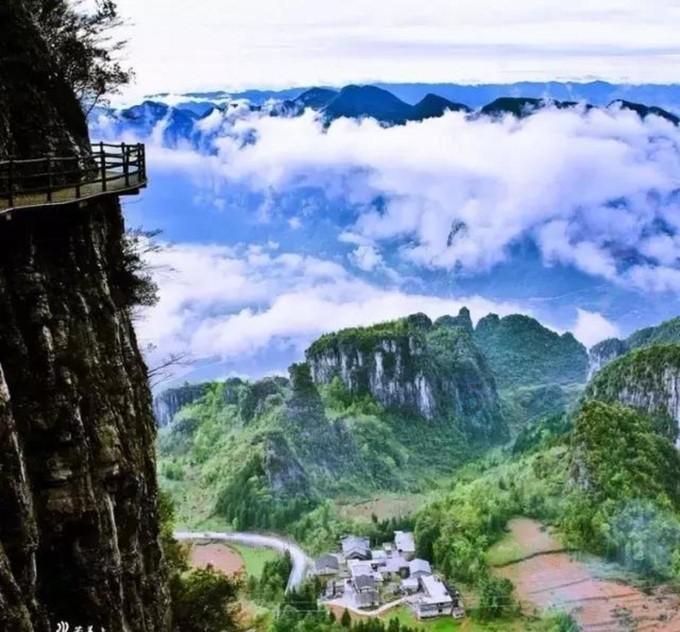 动物帮帮忙保卫家园