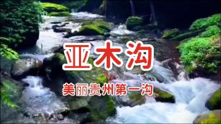 球球大作战下载最新版