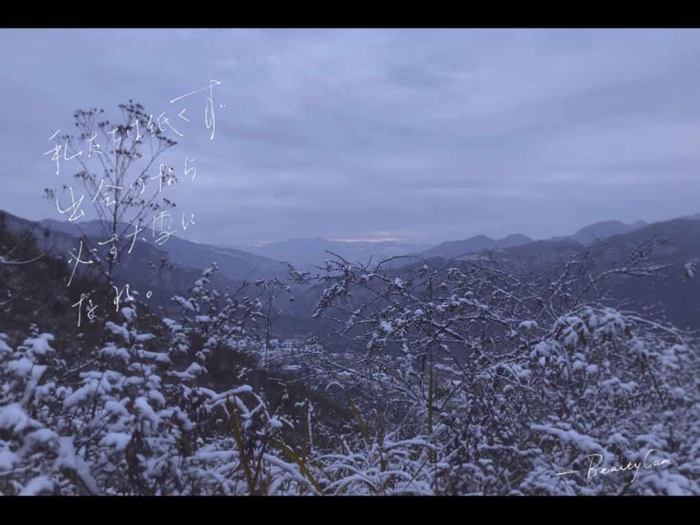 大雪如约而至,新余人的朋友圈都是雪景照→