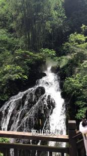 虫虫助手下载