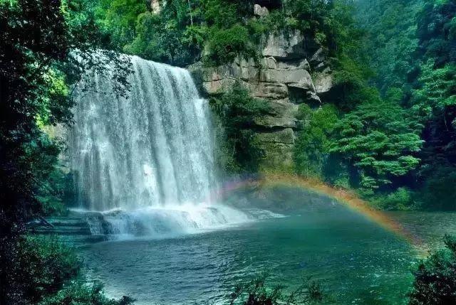 三台 梅花俏枝头撬动“花经济”