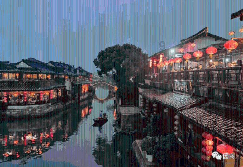 春雨直播app