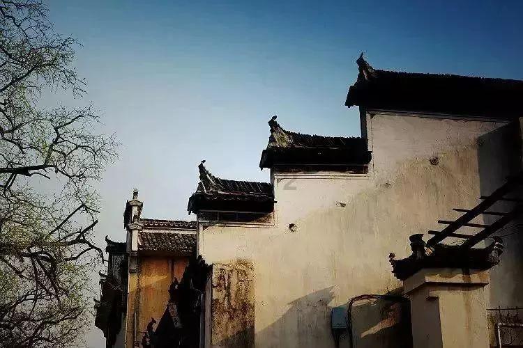 美团预定单怎么取消订单